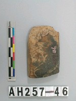 藏品(有段石錛)的圖片